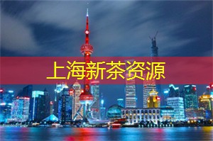 上海论坛：汇聚全球思想，引爆城市发展的火花！