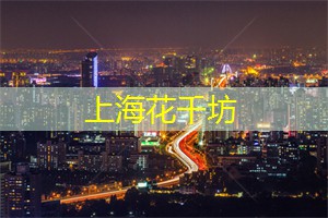 上海新茶网：上海相亲：当代男女剩余问题深度解析，你是否面临同样困扰？